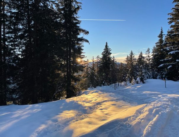 023d1b91-da3f-43d3-9a5c-bebf060bd327