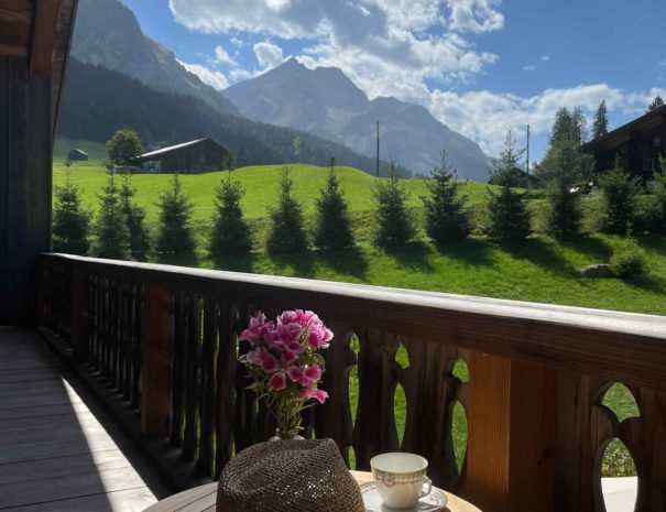 Vue depuis la terrasse du Chalet D'hôtes Alpen Charme Gstaad, Alpes Suisses