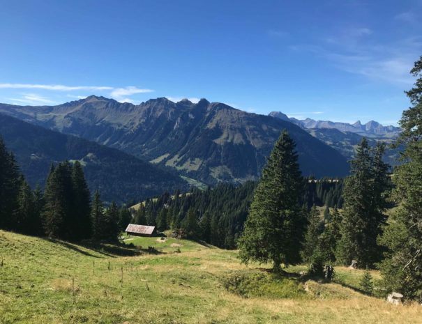 Vue sur les alpes depuis le Chalet D'hôtes Alpen Charme Gstaad, Alpes Suisses