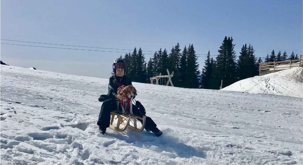 La Luge - Chalet D'hôtes Alpen Charme Gstaad, Alpes Suisses