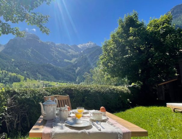 BnB Breakfast garden