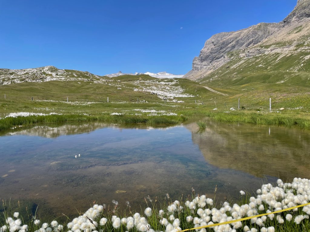 randonnée sur le lac du sanetsch - Glacier 3000 en été