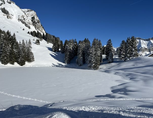 beautiful snowfall in the countryside
